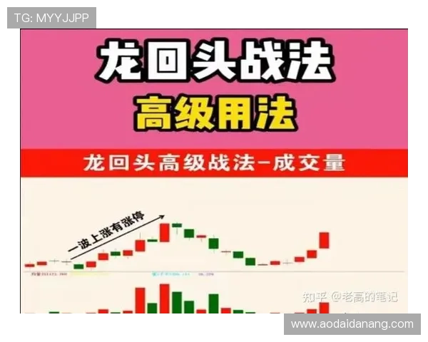 龙8直营平台的推广策略对游戏行业的影响